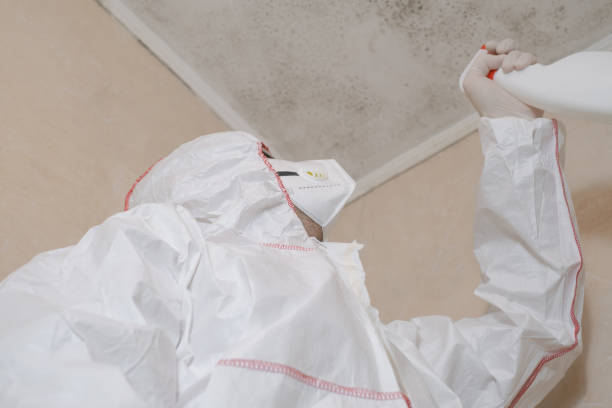 Best Home Mold Removal  in Greenville, TX