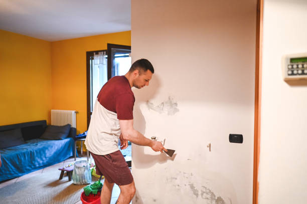 Greenville, TX Mold Removal Company