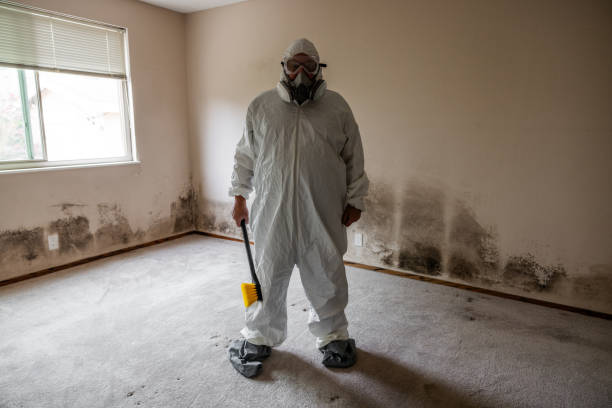 Best Commercial Mold Removal  in Greenville, TX